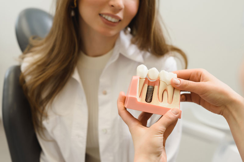 Dental Patient Being Shown A Dental Implant Model During Her Consultation